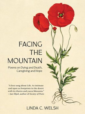 cover image of Facing the Mountain